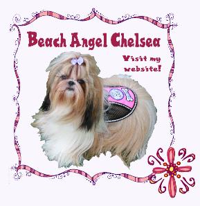 anewchelibutton